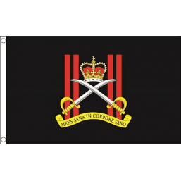 Army Physical Training Corps Flag - British Military Flags - United Flags And Flagstaffs