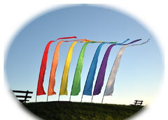 Festival Flags