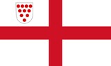 Diocese Flag of Worcester