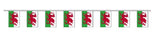 World Cup Pub & Party Packs - Wales