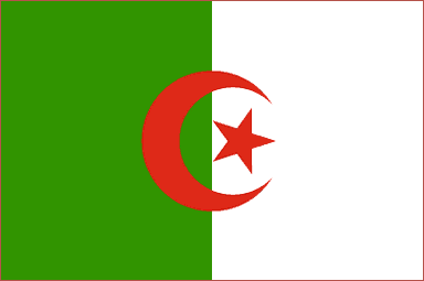 Algeria National Flag Sewn Flags - United Flags And Flagstaffs