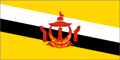 Brunei Darussalam National Flag Sewn Flags - United Flags And Flagstaffs