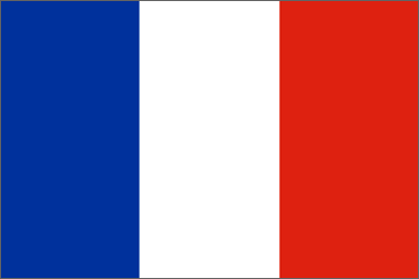 France National Flag Sewn Flags - United Flags And Flagstaffs