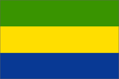Gabon National Flag Printed Flags - United Flags And Flagstaffs