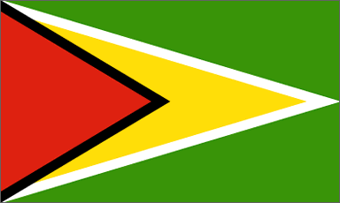 Guyana National Flag Sewn Flags - United Flags And Flagstaffs