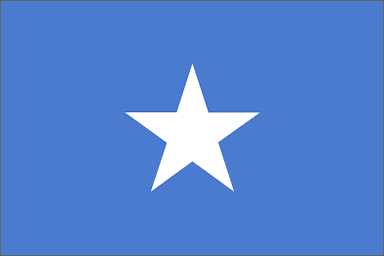 Somalia National Flag Sewn Flags - United Flags And Flagstaffs