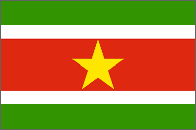 Suriname National Flag Printed Flags - United Flags And Flagstaffs