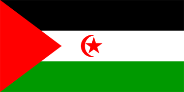 western Sahara National Flag Sewn Flags - United Flags And Flagstaffs